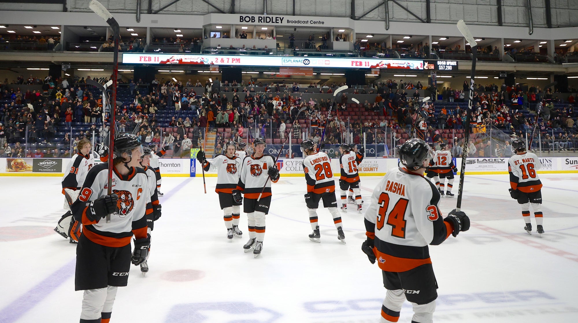 Medicine Hat Tigers Hockey Club Online Store Medicine Hat Tigers Hockey Club Official Store